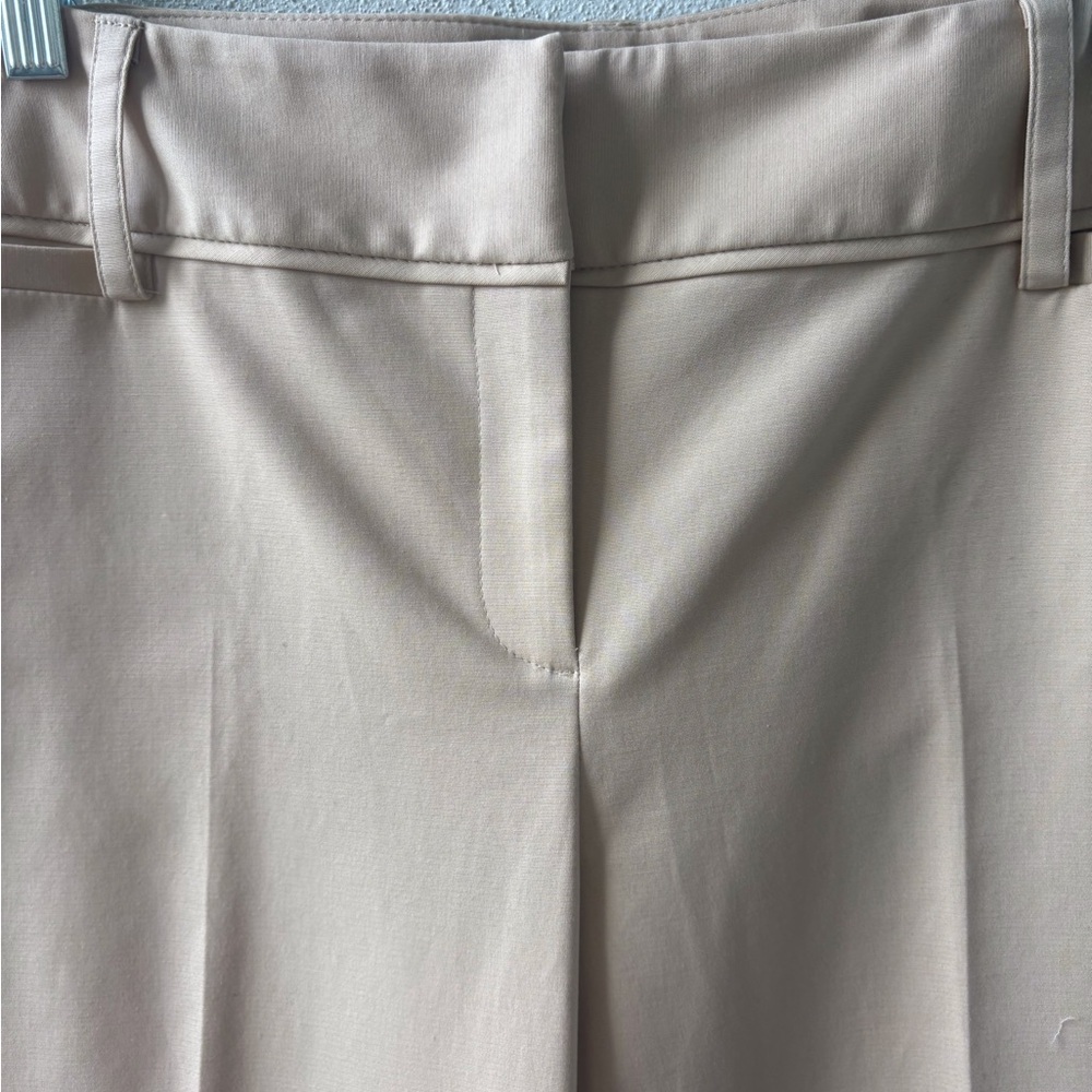 Rafaella Tan Petite Size 10 Pants Ankle Front Zip & Button Career Office Stretch - Picture 4 of 12